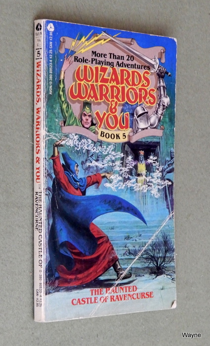 Image for The Haunted Castle of Ravencurse (Wizards, Warriors and You, Book 5) - READING COPY