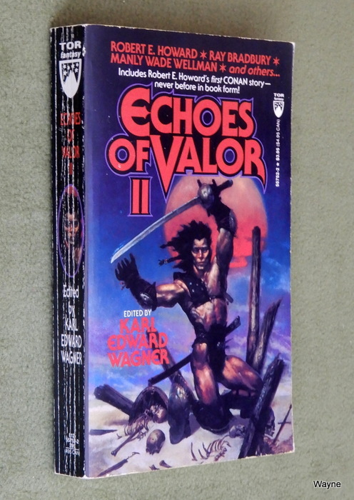 Image for Echoes of Valor II