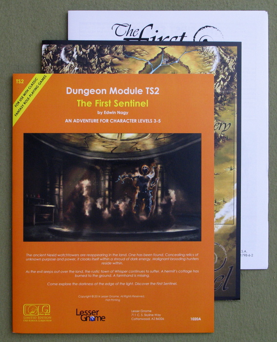 Image for The First Sentinel (Dungeon Module TS2)