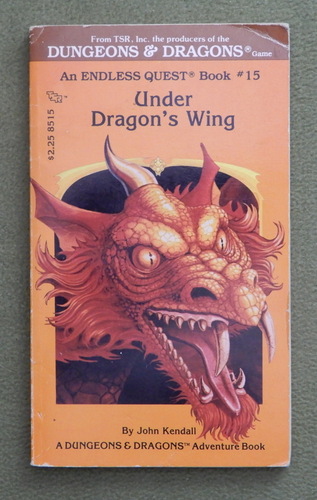 Image for Under Dragon's Wing (Endless Quest Book 15: Dungeons & Dragons)