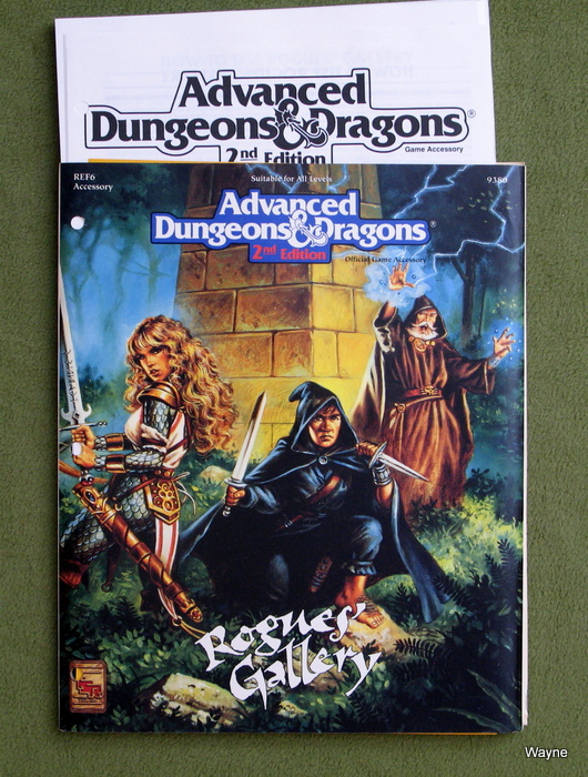 Image for Rogues' Gallery (Advanced Dungeons & Dragons Accessory REF6)