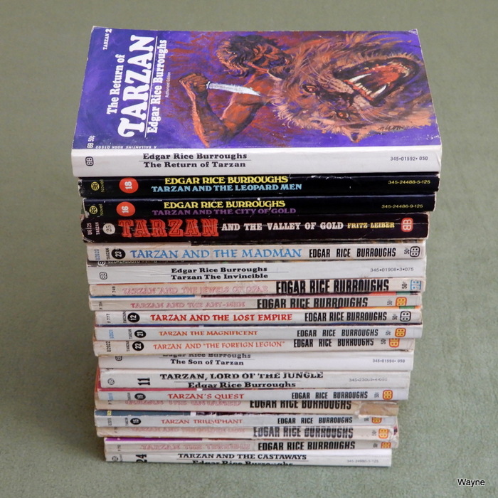 Image for Tarzan series (19 books)