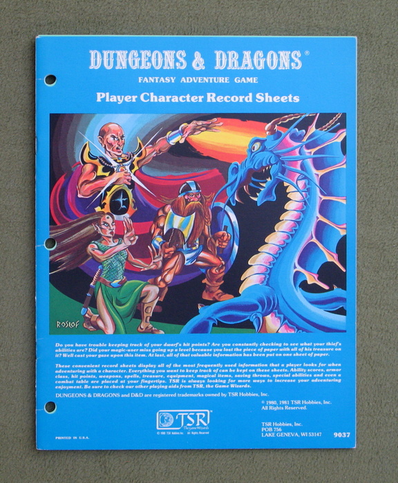 Image for Player Character Record Sheets (Dungeons & Dragons)