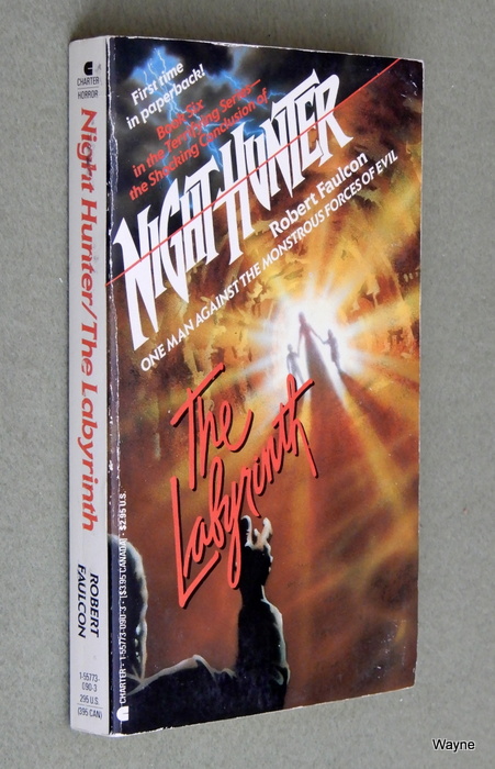 Image for The Labyrinth (Night Hunter, Book 6)