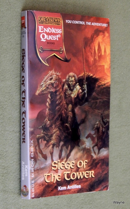 Image for Siege of the Tower (Endless Quest Book: Greyhawk Adventures Setting)