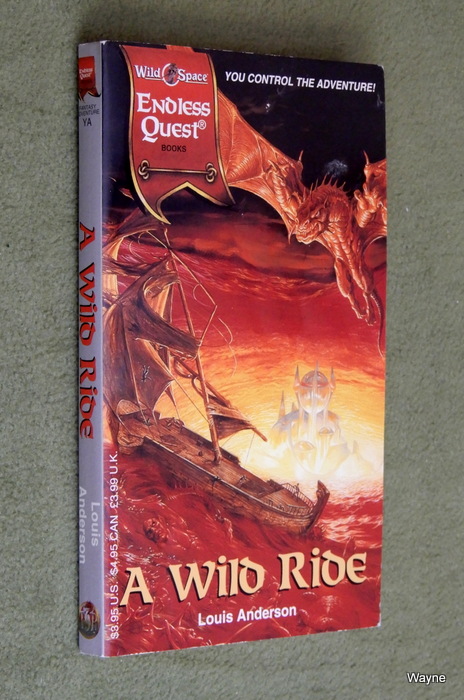 Image for A Wild Ride (Endless Quest Book: Wildspace Setting)