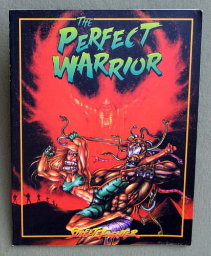 Image for Perfect Warrior (Street Fighter)