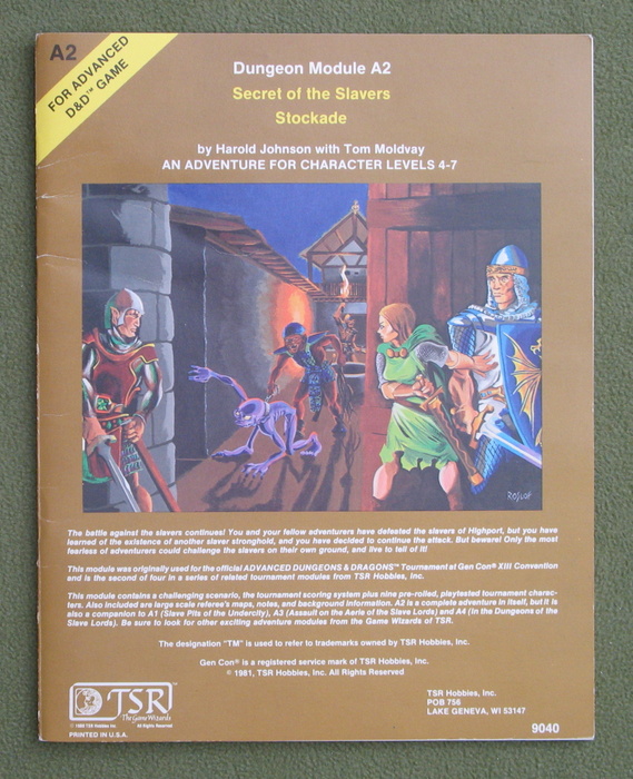 Image for Secret of the Slavers Stockade (Advanced Dungeons & Dragons module A2)