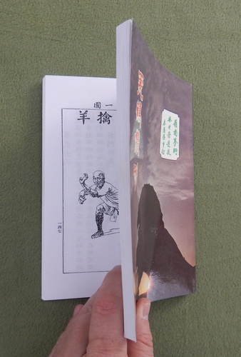 Image for Fu Hok Seung Ying Kuen (Tiger Crane Fist)