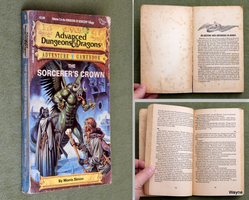 Image for The Sorcerer's Crown (Advanced Dungeons & Dragons Adventure Gamebook 9) - HEAVY WEAR