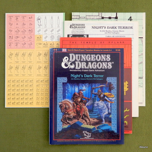 Image for Night's Dark Terror (Dungeons & Dragons Module B10)