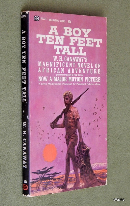 Image for A Boy Ten Feet Tall