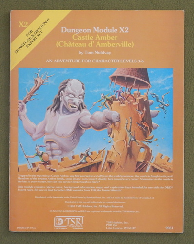 Image for Castle Amber (Chateau d'Amberville) (Dungeons & Dragons Module X2)