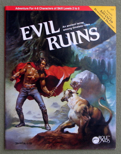 Image for Evil Ruins (Role Aids/Advanced Dungeons and Dragons)