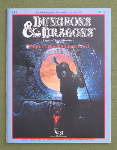 Image for Saga of the Shadow Lord (Dungeons & Dragons Module X11)