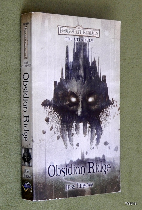 Image for Obsidian Ridge (Forgotten Realms: The Citadels, Bk. 2)