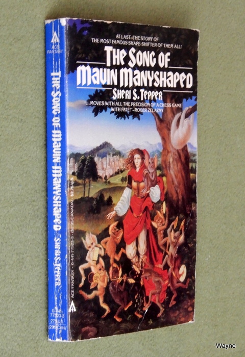 Image for The Song of Mavin Manyshaped