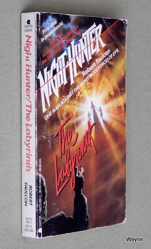 Image for The Labyrinth (Night Hunter, Book 6)