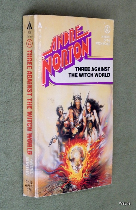 Image for Three Against the Witch World