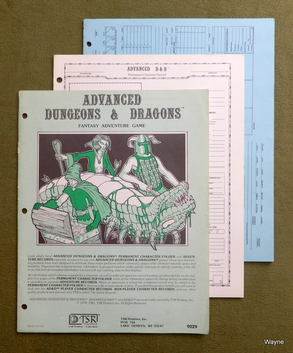 Image for Permanent Character Folder & Adventure Records (Advanced Dungeons & Dragons)