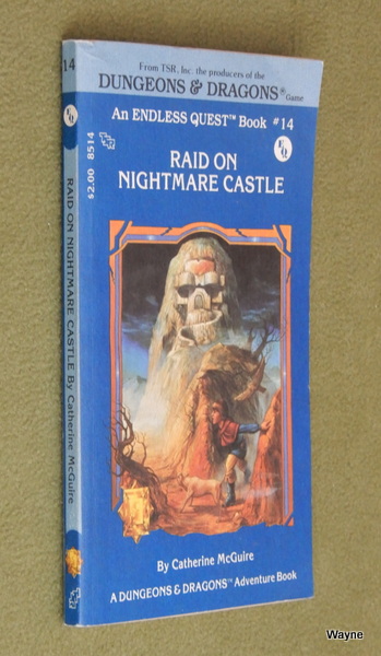 Image for Raid on Nightmare Castle (Endless Quest Book 14: Dungeons & Dragons)
