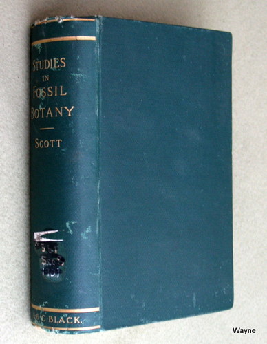 Image for Studies in Fossil Botany