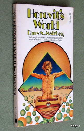 Image for Herovit's World