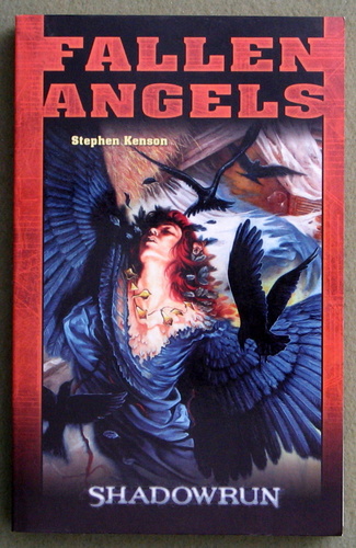 Image for Fallen Angels (Shadowrun: GERMAN-language edition)